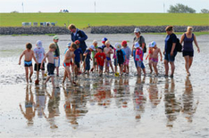 Familienurlaub Nordsee in Friedrichskoog-Spitze