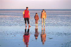 Herbstferien Nordsee Pellworm