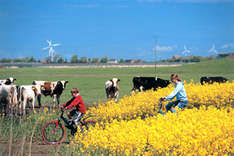 Nordseeinsel Pellworm im Frühling (Foto: Kur- und Tourismusservice Pellworm)