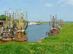 Veranstaltungen Ostfriesland 2010