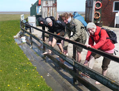 Praktikum im Nationalpark Schleswig-Holsteinisches Wattenmeer