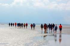 Führung ins Wattenmeer