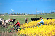 Per Rad über die Nordseeinsel Pellworm (Foto: Kur- und Tourismusservice Pellworm)