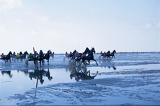 Veranstaltungen Nordsee 2010