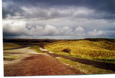 Dünenstraße auf Ameland