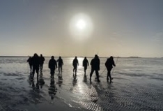 Wattwanderung zur Hallig Langeness im Winter