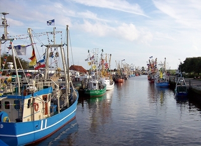 Kutterregatta im Hafen von Friedrichskoog