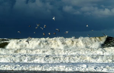 Nordseewellen vor Wurster Land