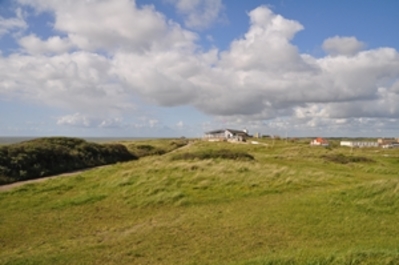 Dünenlandschaft bei Wijk an Zee in Noord-Holland