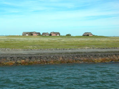 Blick auf die Hallig Gröde