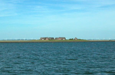 Blick auf die Hallig Hooge