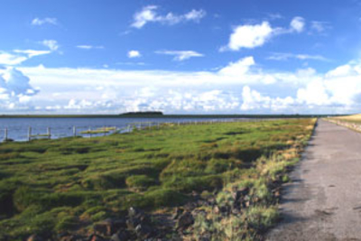 Die Insel Nordstrand