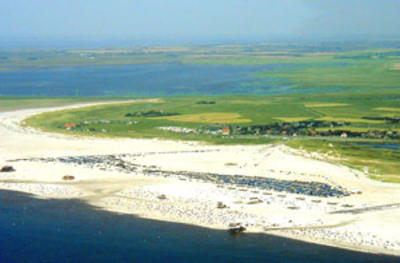 Strand von St. Peter Ording