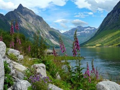 Fjordlandschaft in Norwegen