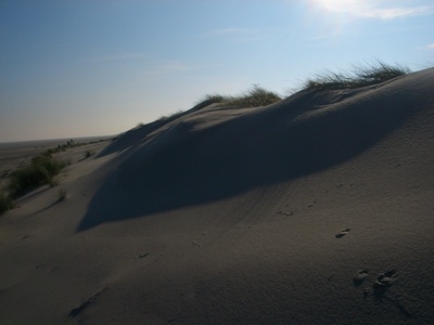 Dünen auf Wangerooge