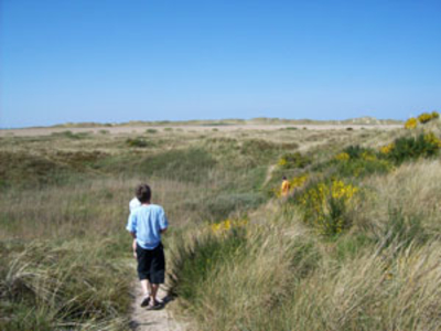 Rømø dänemark nordsee