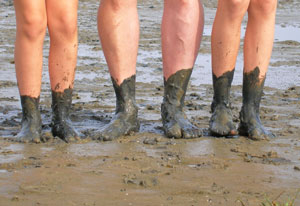 Zu einem Nordsee-Urlauber gehört natürlich eine Tour durch das Wattenmeer