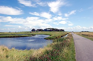 Die Hanswarft auf der Hallig Hooge