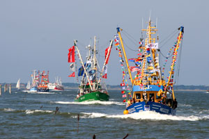 45. Kutterregatta Neuharlingersiel 2011