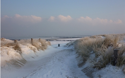 Verschneite Dünen in Holland